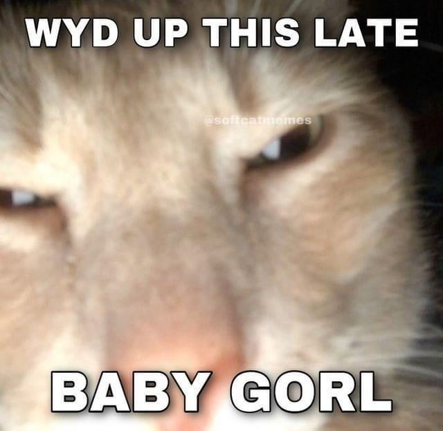 WYD UP THIS LATE BABY GORL